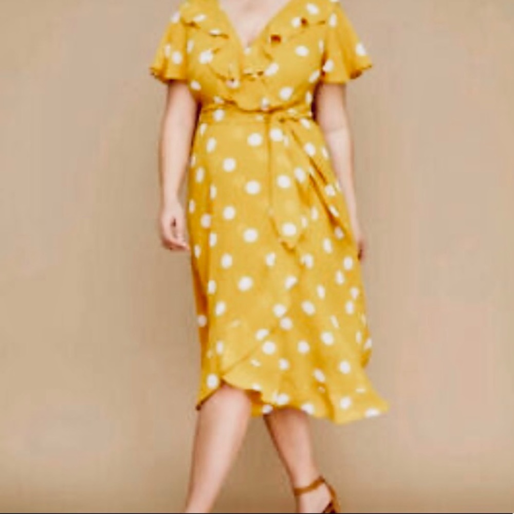 Lane Bryant the vintage style dress